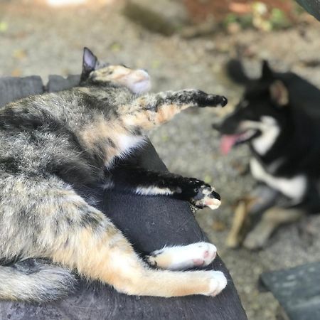 Chill Out Village Ao Nam Mao エクステリア 写真