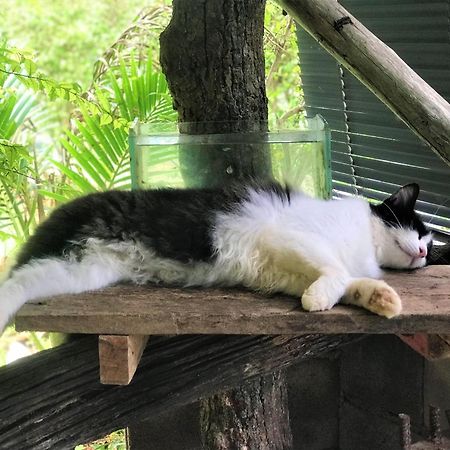 Chill Out Village Ao Nam Mao エクステリア 写真