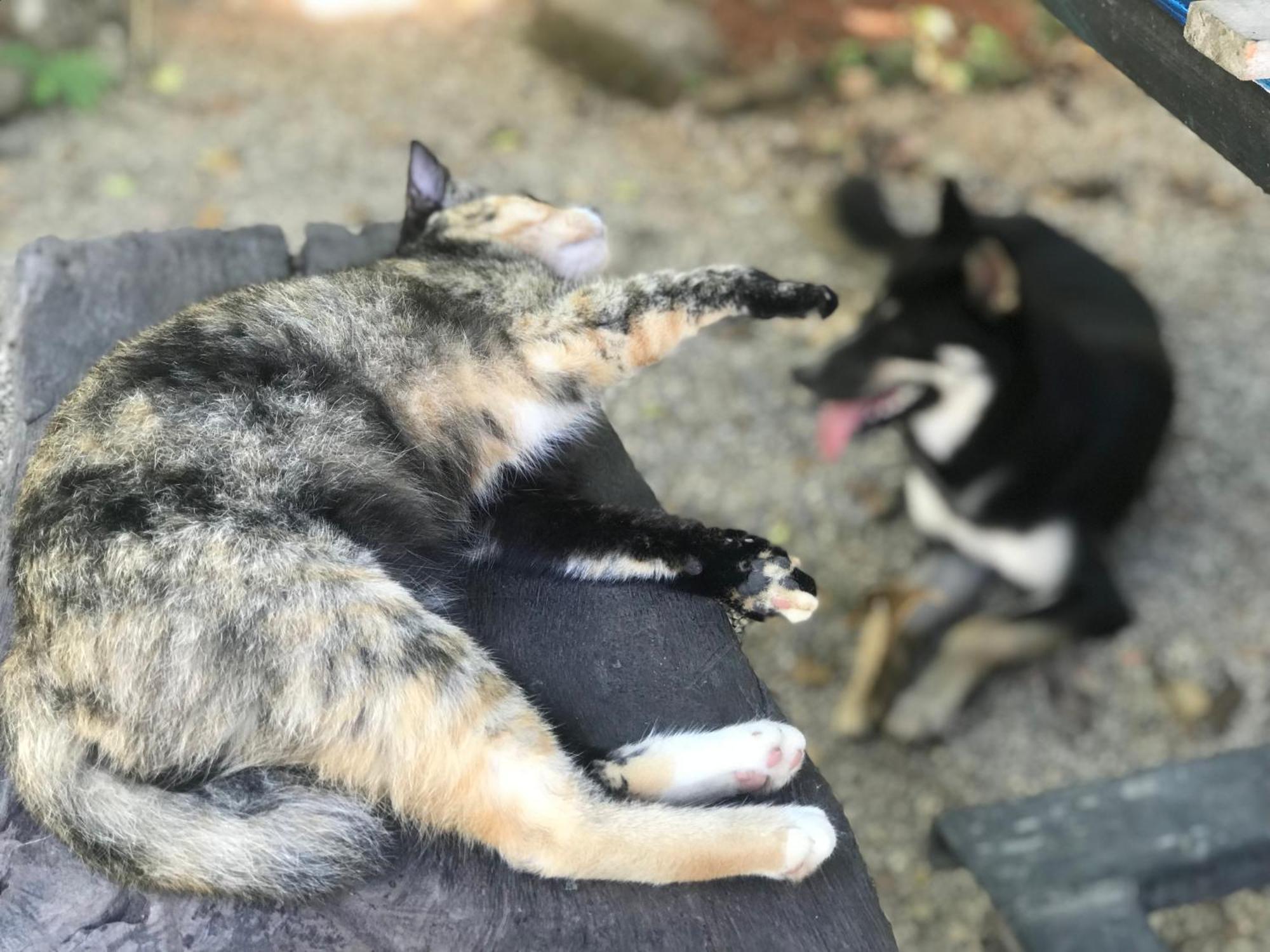 Chill Out Village Ao Nam Mao エクステリア 写真