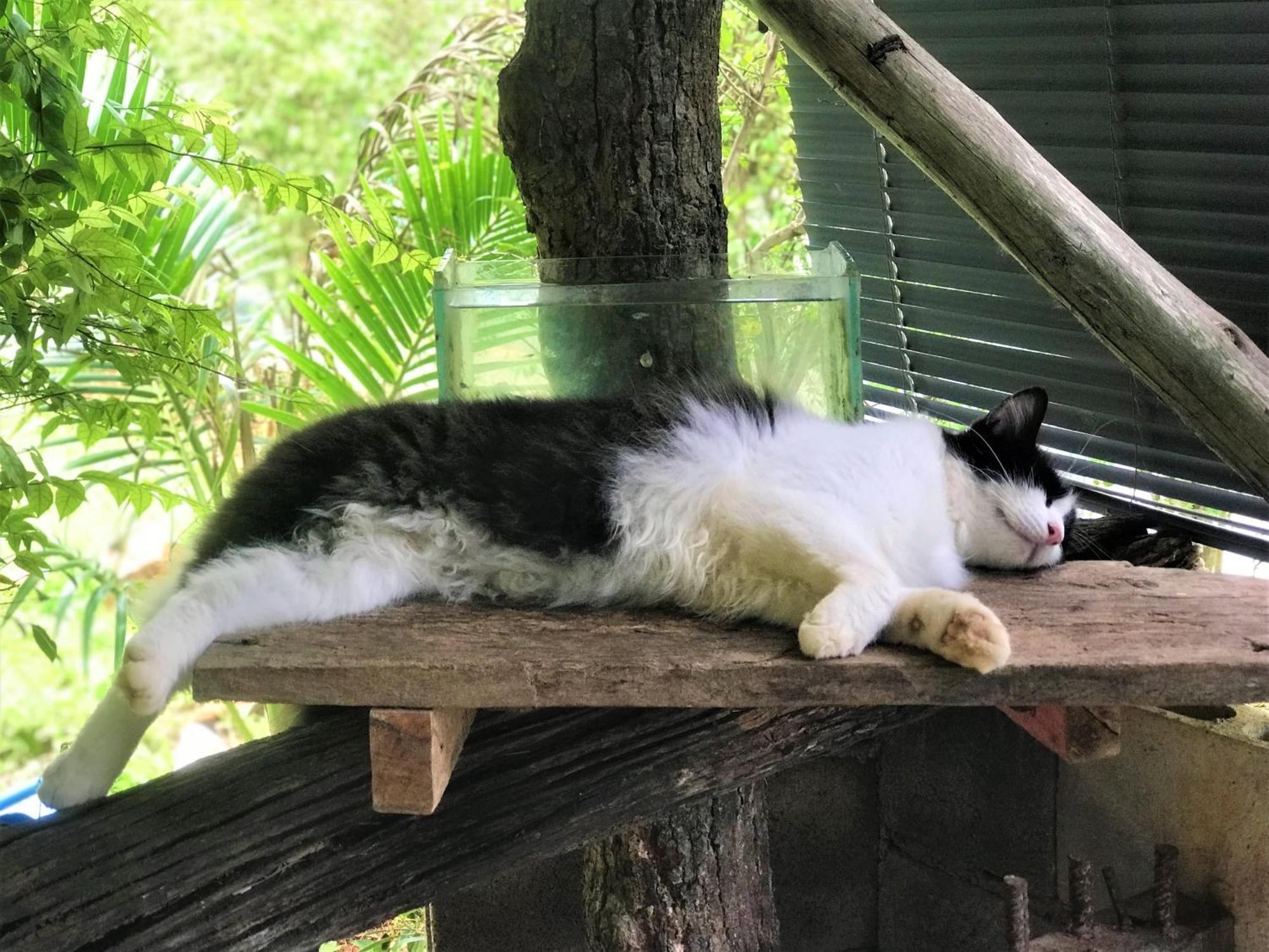 Chill Out Village Ao Nam Mao エクステリア 写真