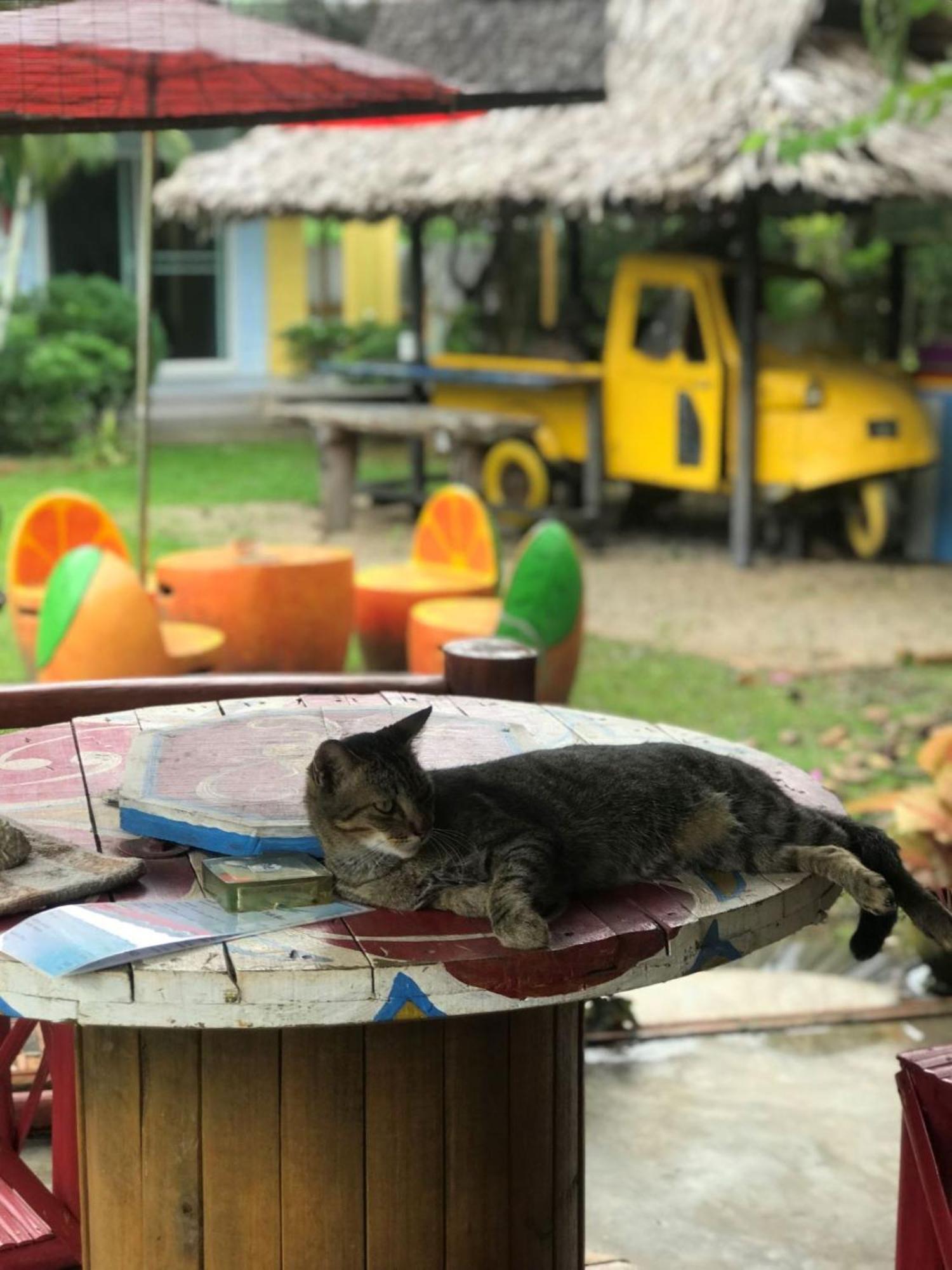 Chill Out Village Ao Nam Mao エクステリア 写真